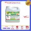 Thuốc diệt muỗi Organic Kina 500ml