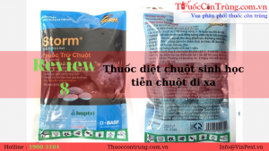 REVIEW 8 thuốc diệt chuột sinh học tiễn chuột ra đi mãi mãi