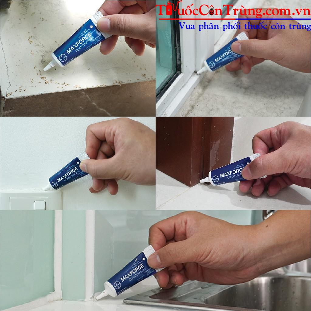 Thuốc diệt kiến Maxforce Quantum là loại thuốc được sản xuất bởi hãng Bayer (Đức)