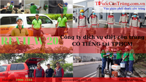 REVIEW #20 Công ty dịch vụ diệt côn trùng CÓ TIẾNG tại TPHCM