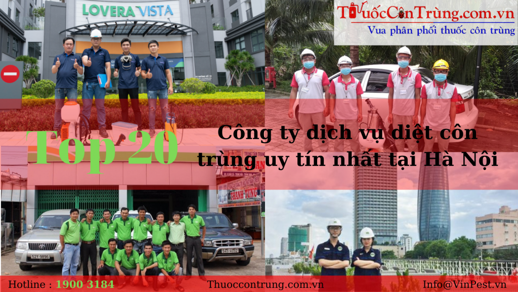 TOP 20 công ty dịch vụ diệt côn trùng uy tín nhất tại Hà Nội