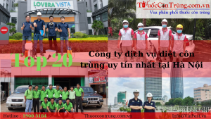 TOP 20 công ty dịch vụ diệt côn trùng uy tín nhất tại Hà Nội