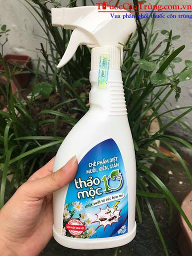 Thảo mộc 10s (1)