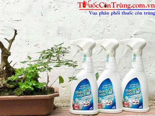 Thảo mộc 10s (3)