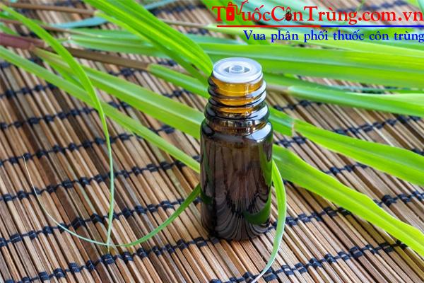 Tu-lam-tinh-dau-sa-duoi-ran-ngay-tai-nha