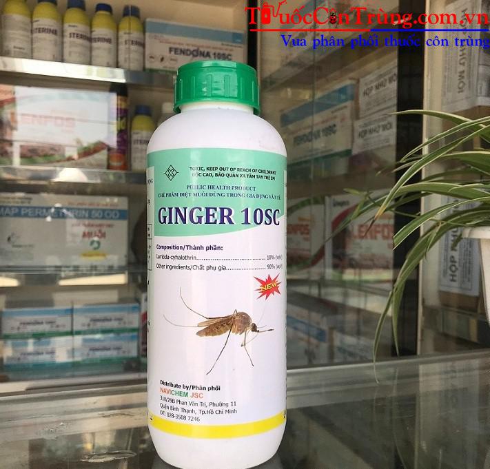 ginger-10SC-4