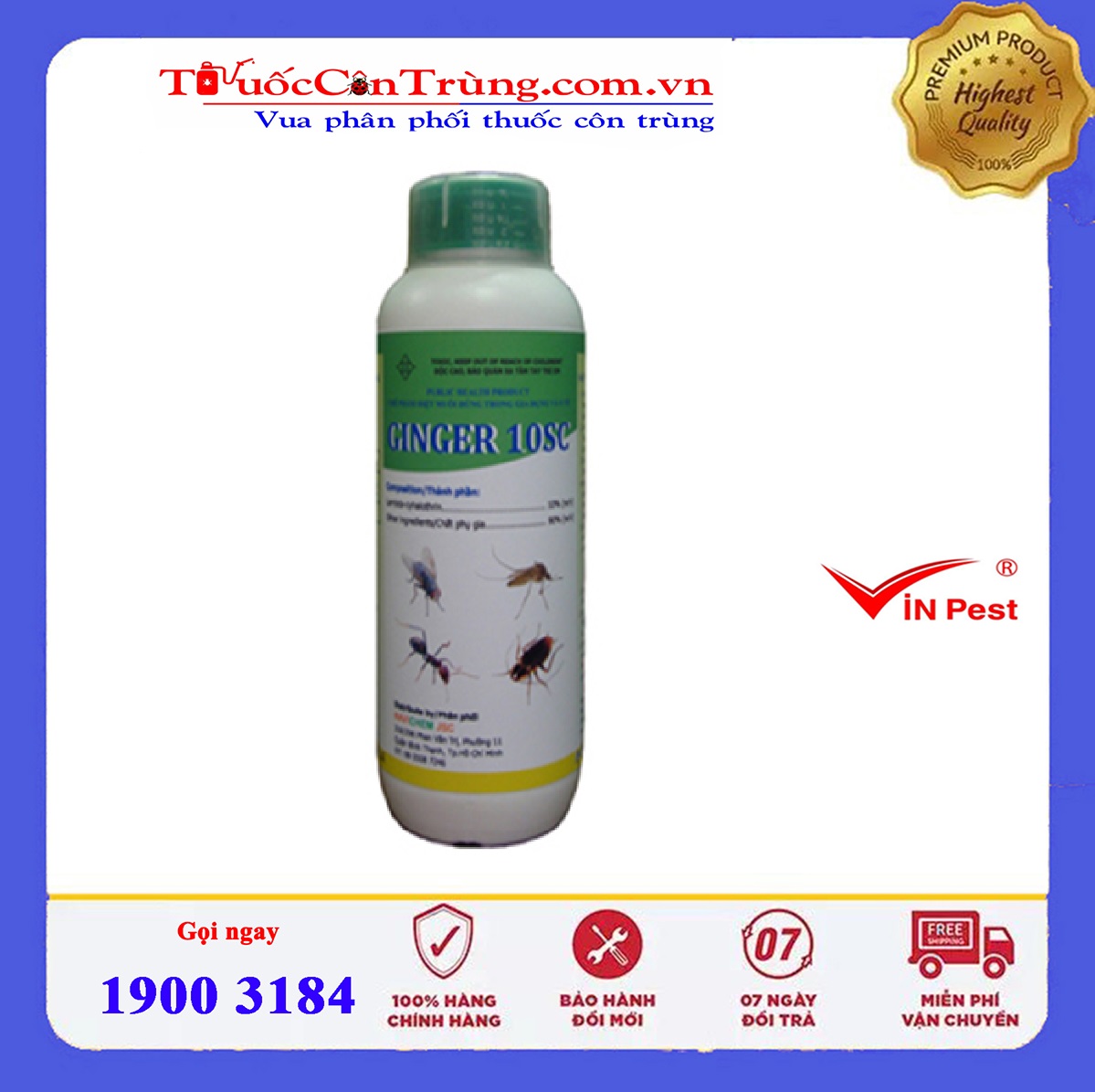 ginger-10SC-5