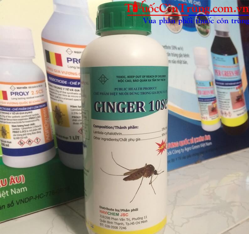 ginger-10sc-1
